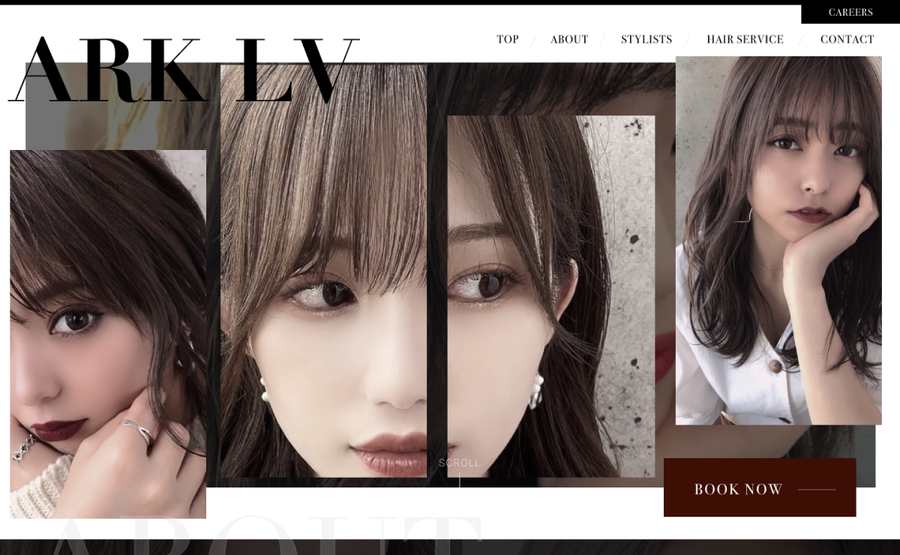 ARK LV